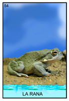Lotería